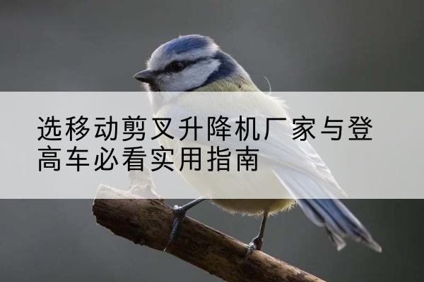 珠山电动升降机厂家-选移动剪叉升降机厂家与登高车必看实用指南