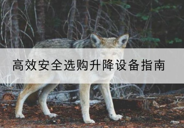 珠山升降货梯厂家推荐-*安全选购升降设备指南