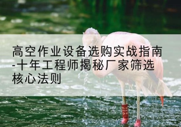 珠山剪叉式升降机厂家-高空作业设备选购实战指南-十年工程师揭秘厂家筛选核心法则